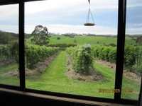 Book Murroon Accommodation Vacations Tourism Noosa Tourism Noosa