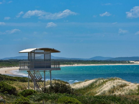 Pet Friendly - Exceptional Beachside Location - Tourism Noosa 1