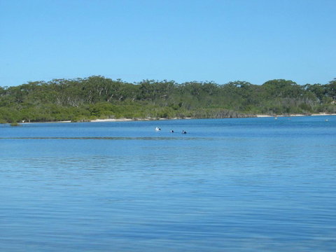 Pet Friendly - Exceptional Beachside Location - Tourism Noosa 3