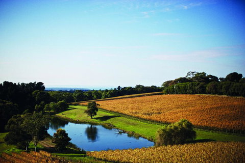 Port Phillip Estate - Tourism Noosa 2