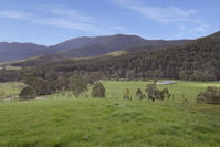 Quins Gap Private Retreat