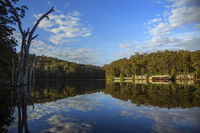 Book Beedelup Accommodation Vacations Tourism Noosa Tourism Noosa