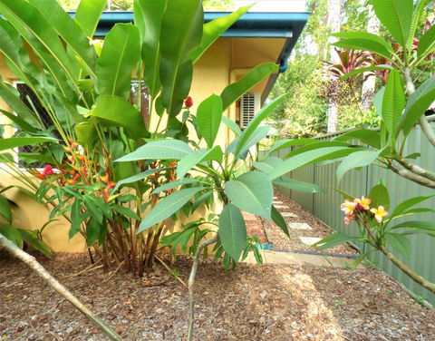 Rainforest Cottage Cairns - Tourism Noosa 0