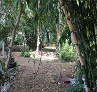 Rainforest Water Front River Shack Secluded. - Tourism Noosa