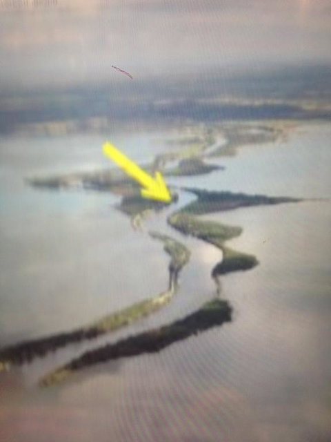 River Cottage Eagle Point - Tourism Noosa 2