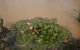 River Downs Cottage - thumb 3