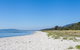 Rosebud Beach Babe - thumb 0