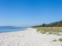 Rosebud Beach Babe