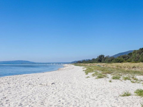 Rosebud Beach Babe - Tourism Noosa 0