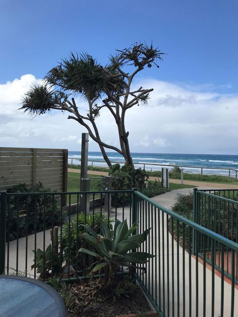 Sanctuary Beach Resort - Tourism Noosa 2