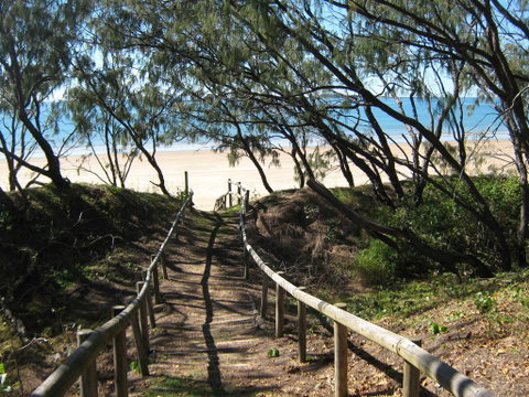 SeaEagles Beach Resort - Tourism Noosa 2