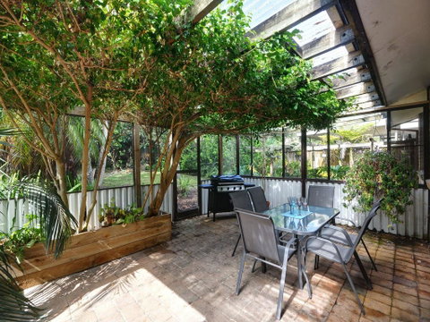 Shady Treez - Pet Friendly - Tourism Noosa 0