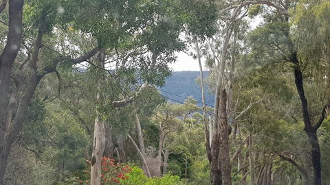 Six Seasons - Halls Gap - Tourism Noosa 3