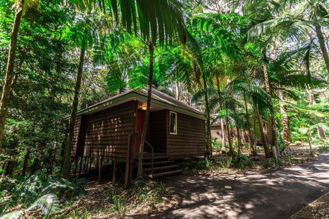 Songbirds Rainforest Retreat - Tourism Noosa 2
