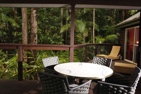 Songbirds Rainforest Retreat - Tourism Noosa 1
