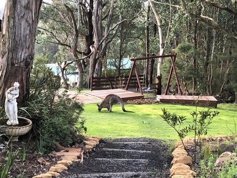 Southern Anchorage Retreat - Tourism Noosa 3