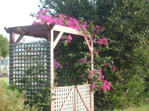 Southern Vales Bed & Breakfast - Tourism Noosa 3