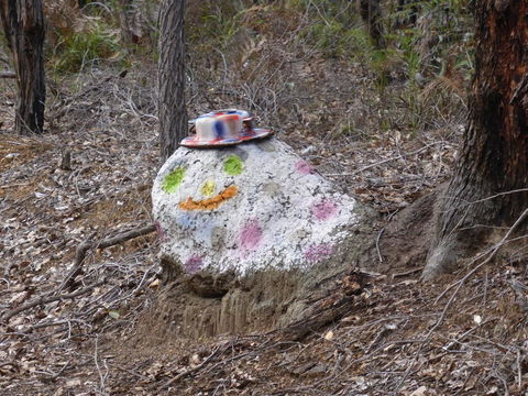 Splendid Wren Cottage - Tourism Noosa 3