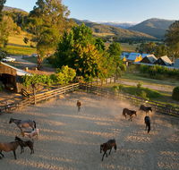 Spring Spur - Tourism Noosa