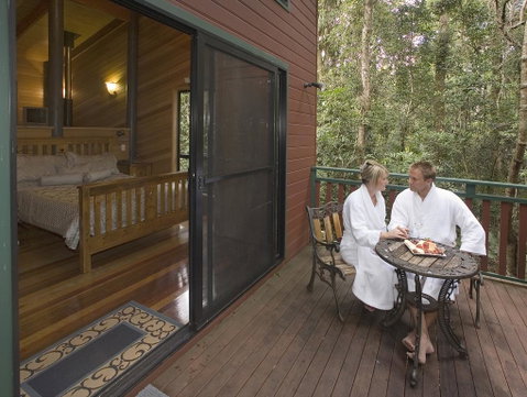 Springbrook Lyrebird Retreat - Tourism Noosa 3