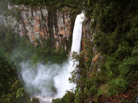 Springbrook Lyrebird Retreat - Tourism Noosa 2