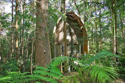 Springbrook Mountain Chalets - Tourism Noosa 0