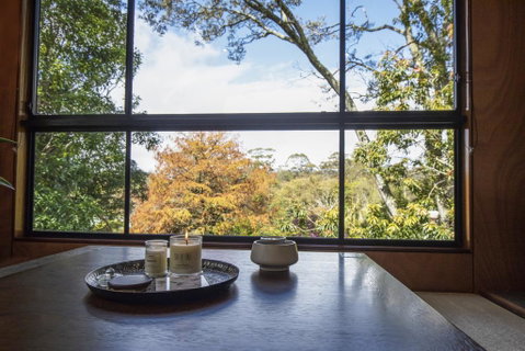 Springbrook25 Upper Apartment - Tourism Noosa 0