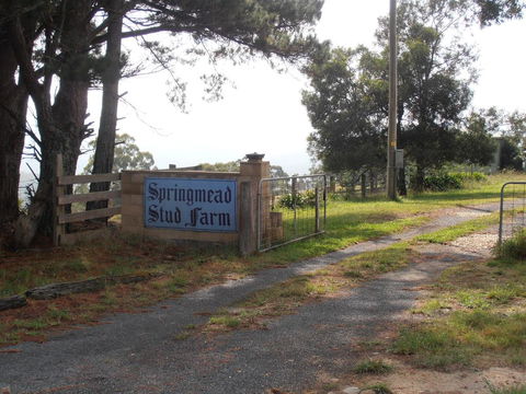 Springmead B&B - Tourism Noosa 2