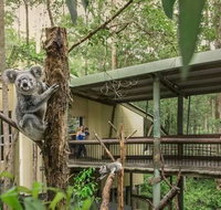 Springwood Meditation Centre - Tourism Noosa