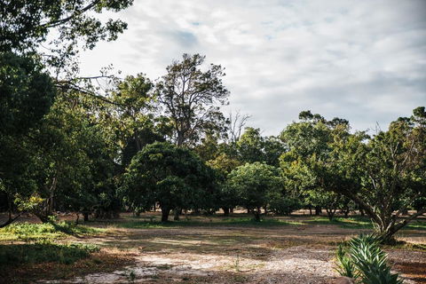 Standing Stone House - Tourism Noosa 3