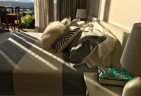 Studio With Stunning Mountain Views - Tourism Noosa 2