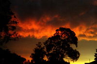 Book Thulimbah Accommodation Vacations Tourism Noosa Tourism Noosa