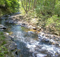 Tallaringa Views - Tourism Noosa