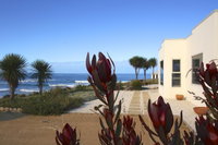 Book Falmouth Accommodation Vacations Tourism Noosa Tourism Noosa