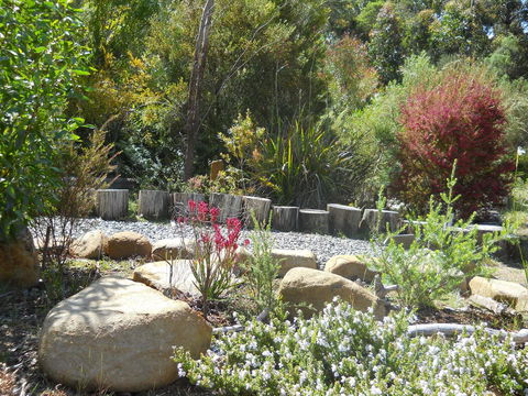 Southern Forest Accommodation - Tourism Noosa 17