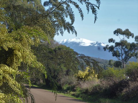 Southern Forest Accommodation - Tourism Noosa 24
