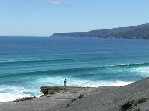 Southern Forest Accommodation - Tourism Noosa 27