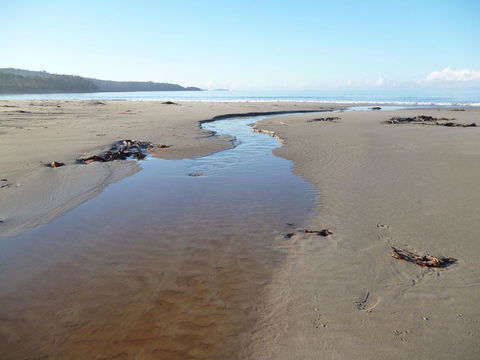 Southern Forest Accommodation - Tourism Noosa 28