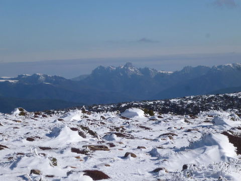 Southern Forest Accommodation - Tourism Noosa 29