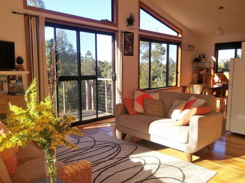 Southern Forest Accommodation - Tourism Noosa 3