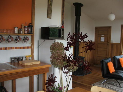 Southern Forest Accommodation - Tourism Noosa 18