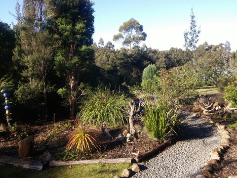 Southern Forest Accommodation - Tourism Noosa 2