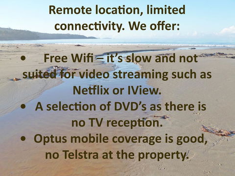 Southern Forest Accommodation - Tourism Noosa 13