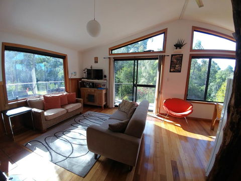 Southern Forest Accommodation - Tourism Noosa 5