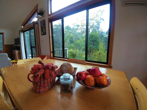 Southern Forest Accommodation - Tourism Noosa 11