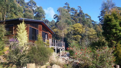 Southern Forest Accommodation - Tourism Noosa 7