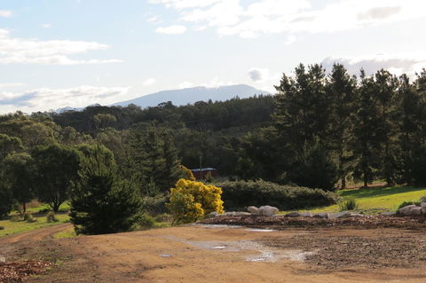 Catherine Lodge Farm Gate Cottages - Tourism Noosa 19