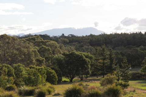 Catherine Lodge Farm Gate Cottages - Tourism Noosa 21
