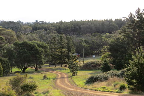 Catherine Lodge Farm Gate Cottages - Tourism Noosa 20