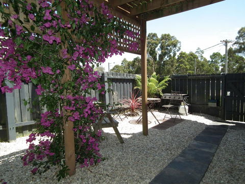 Harlea - Tourism Noosa 10